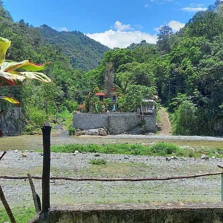 Conrado'S Guesthouse B&B Las Avispas エクステリア 写真