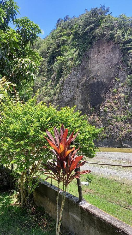 Conrado'S Guesthouse B&B Las Avispas エクステリア 写真
