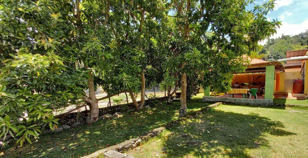 Conrado'S Guesthouse B&B Las Avispas エクステリア 写真